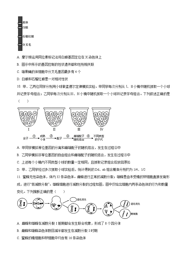 四川省成都市简阳实验学校（成都石室阳安学校）2023-2024学年高一下学期期中考试生物试题（原卷版+解析版）03