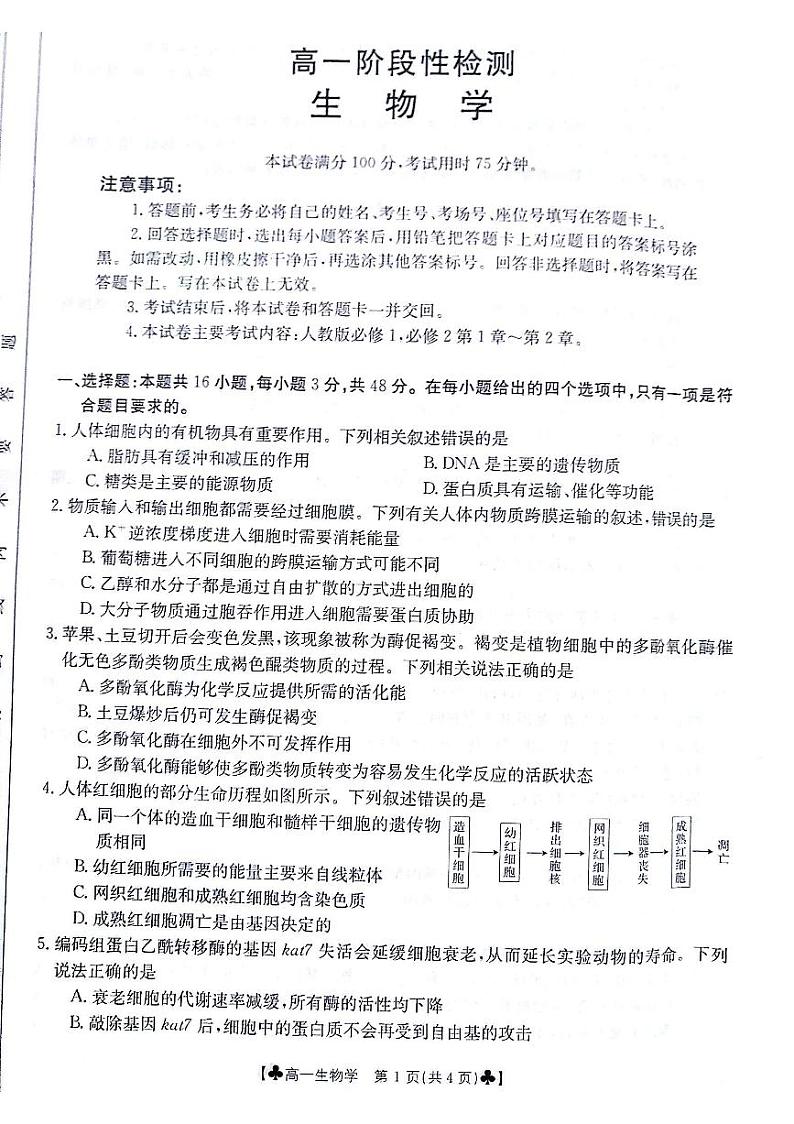 甘肃省白银市2023-2024学年高一下学期5月期中生物试题01