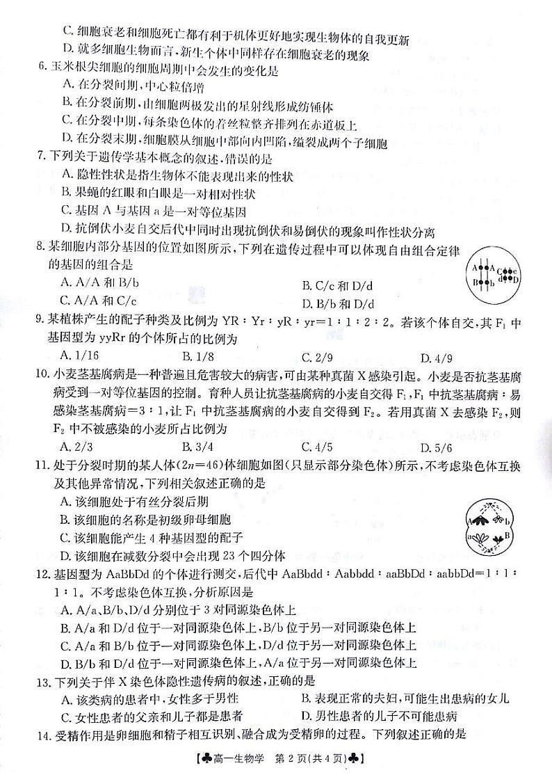甘肃省白银市2023-2024学年高一下学期5月期中生物试题02