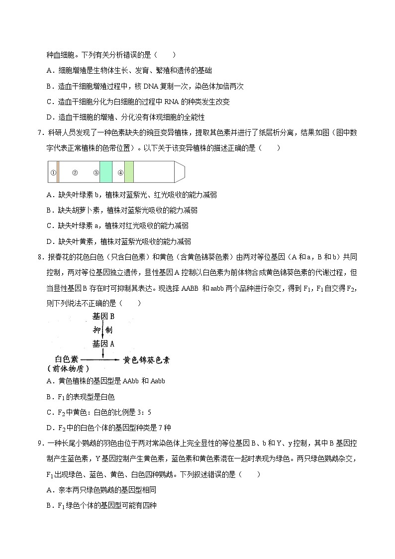 海南省海口市美兰区2023-2024学年高一下学期期中生物试卷02