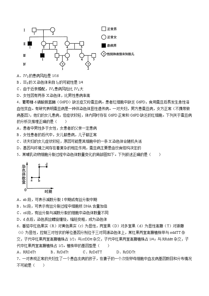 山东省济南市等2地2023-2024学年高一下学期5月期中生物试题(无答案)02