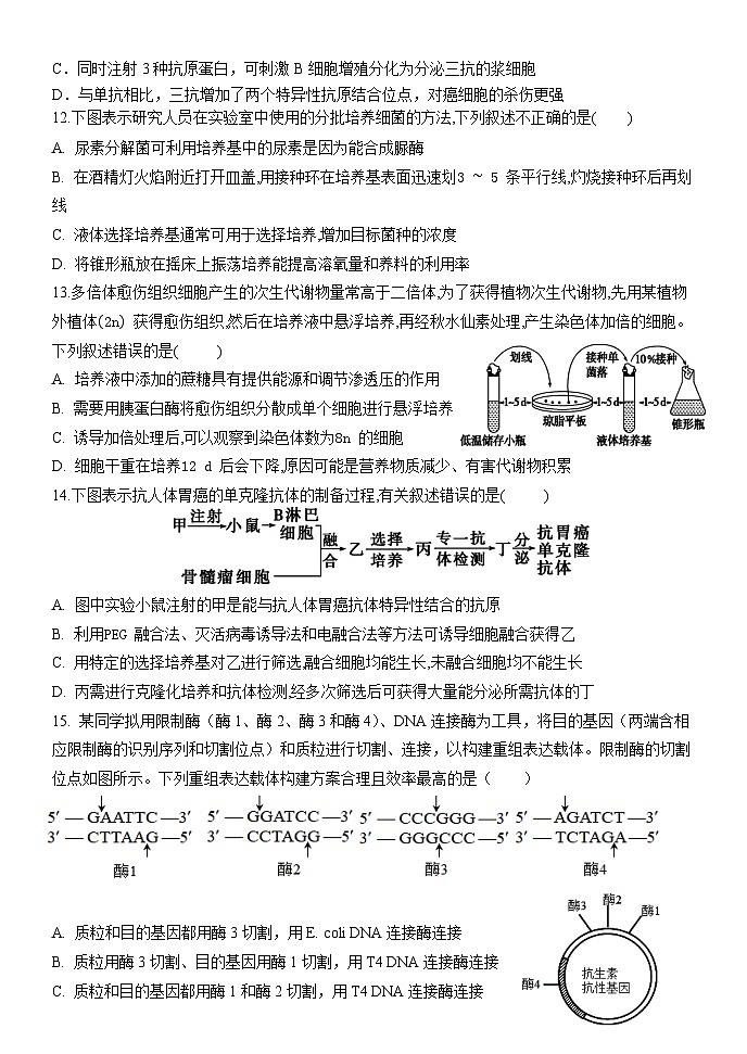 山东省济南市市中区山东省实验中学2023-2024学年高二下学期5月期中生物试题03