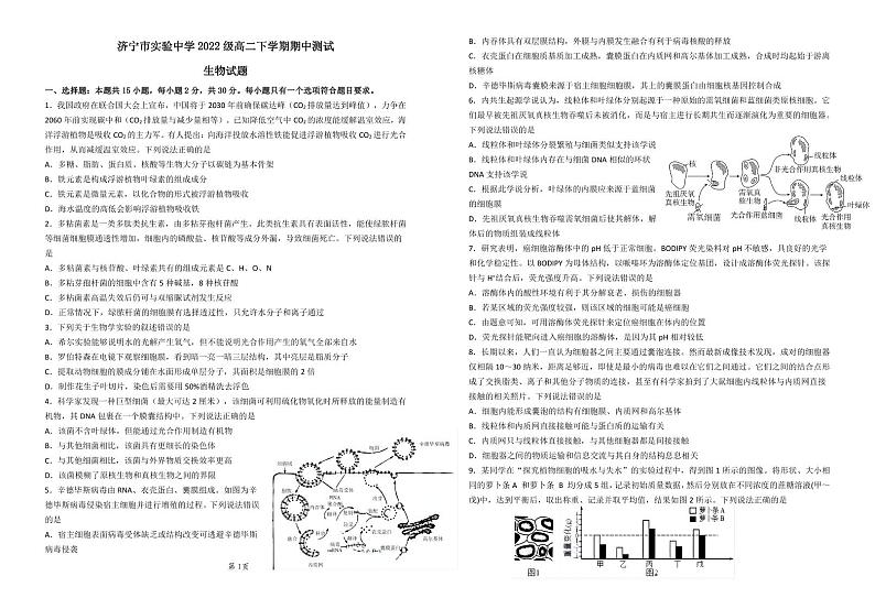 山东省济宁市实验中学2023-2024学年高二下学期期中考试生物试题+01