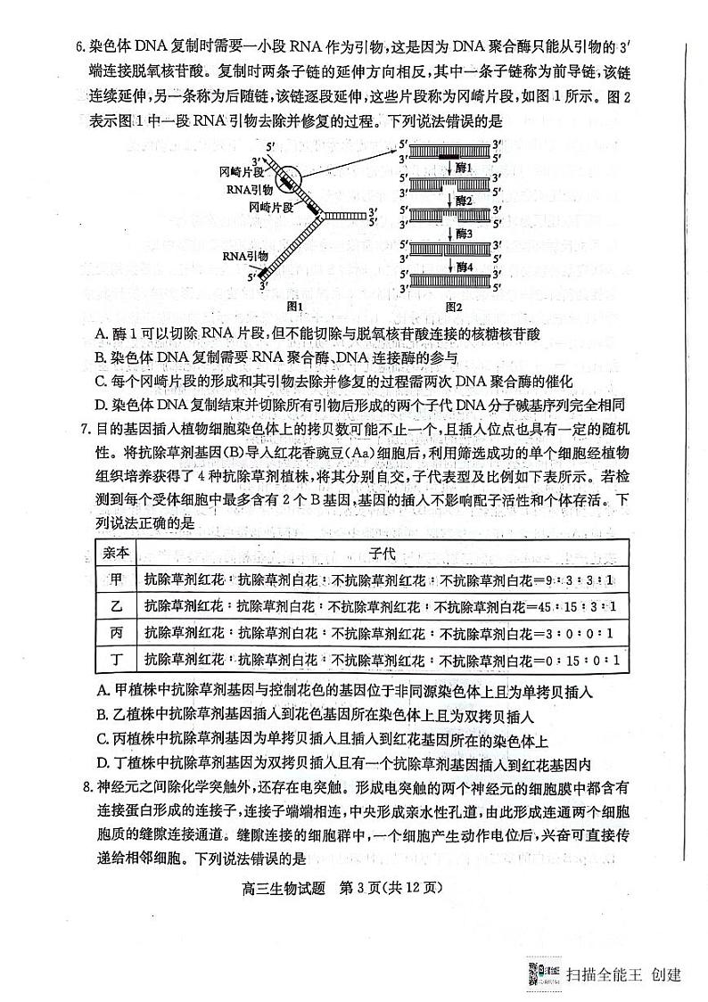 2024届山东省滨州市高三下学期5月二模生物试题第3页