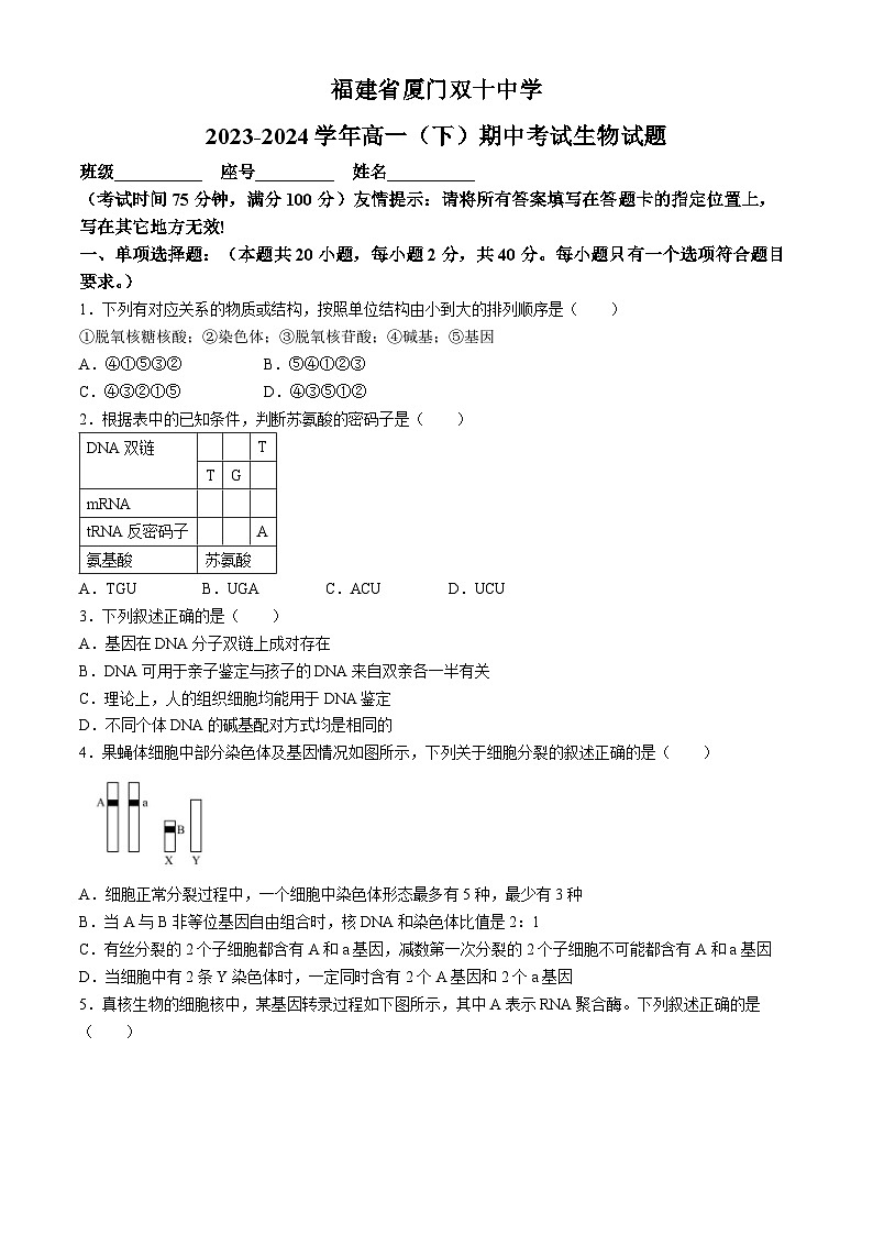 福建省厦门市湖里区厦门双十中学2023-2024学年高一下学期5月期中考试生物试题(无答案)01