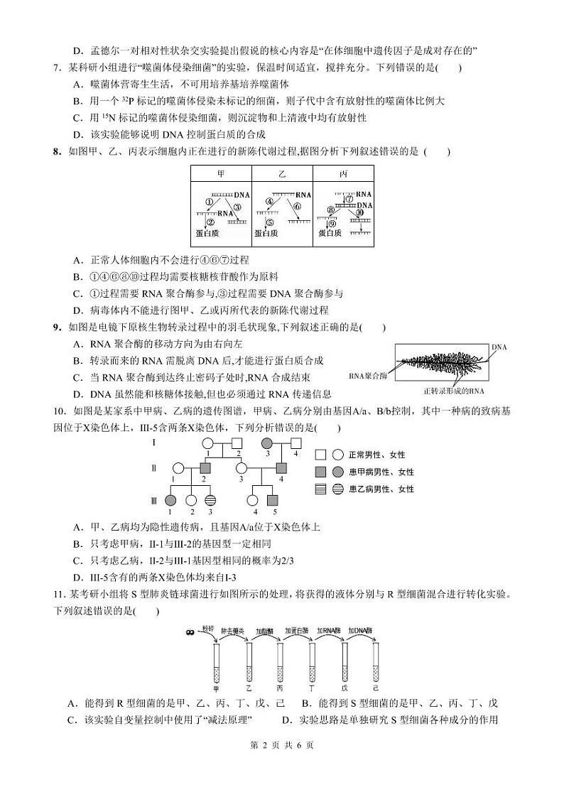 福建省厦门市湖里区厦门双十中学2023-2024学年高一下学期5月期中考试生物试题02