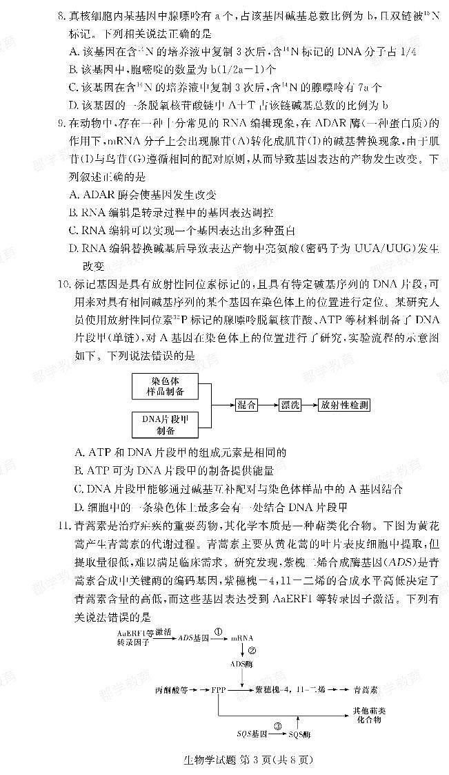 湖南省名校联考联合体2023-2024学年高一下学期期中考试生物试题第3页