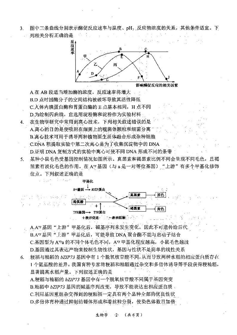 贵州省遵义市2024届高三三模生物试题02