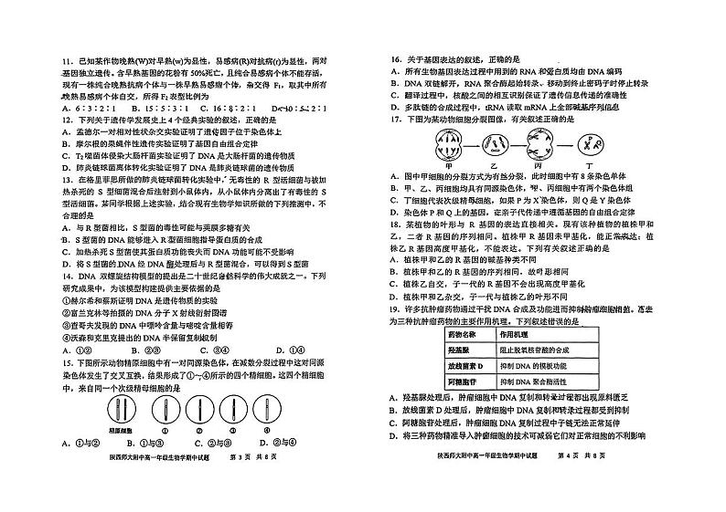 陕西师范大学附属中学2023-2024学年高一下学期期中考试生物试题02