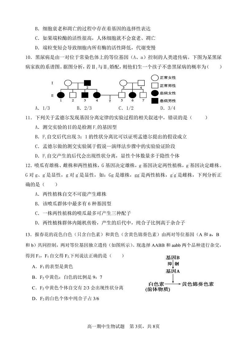 重庆市万州二中2023-2024学年高一下学期期中考试生物试题（Word版附答案）03