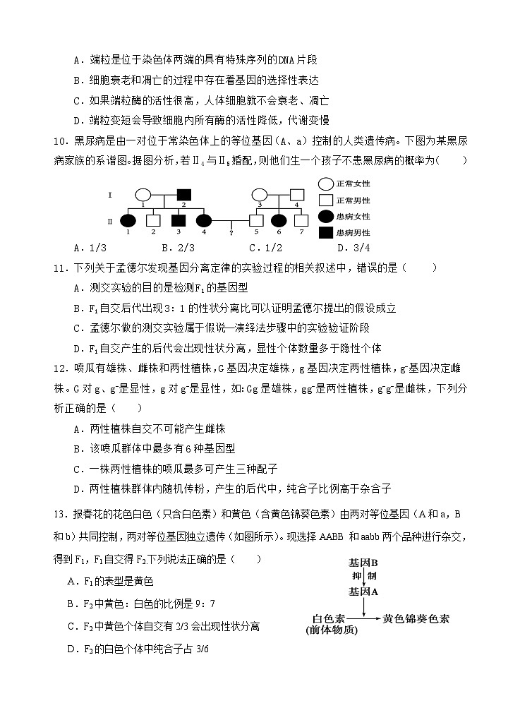 重庆市万州二中2023-2024学年高一下学期期中考试生物试题（Word版附答案）03