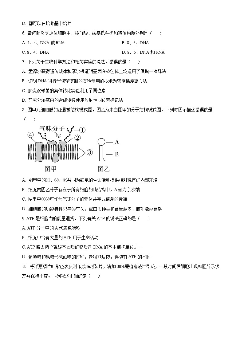浙江省宁波市五校联盟2023-2024学年高一下学期4月期中联考生物试题（Word版附解析）02