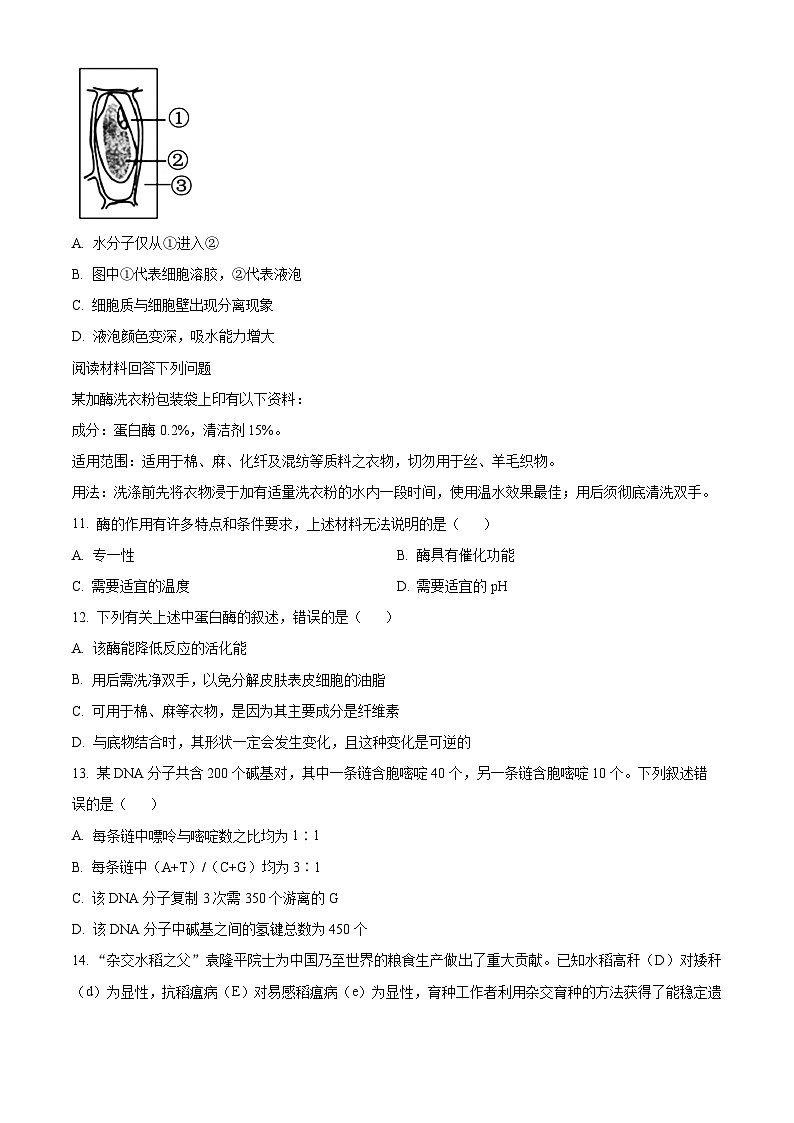 浙江省宁波市五校联盟2023-2024学年高一下学期4月期中联考生物试题（Word版附解析）03