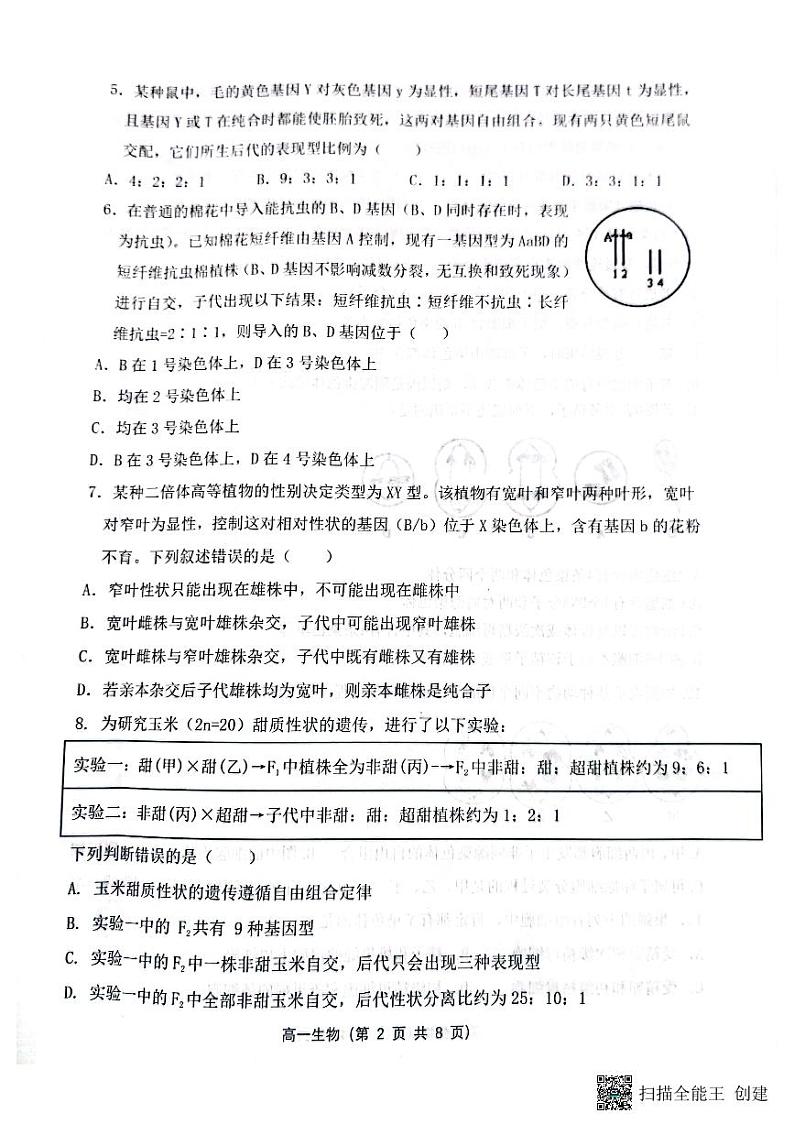 山西省大同市第一中学2023-2024学年高一下学期4月期中考试生物试题（PDF版附答案）02