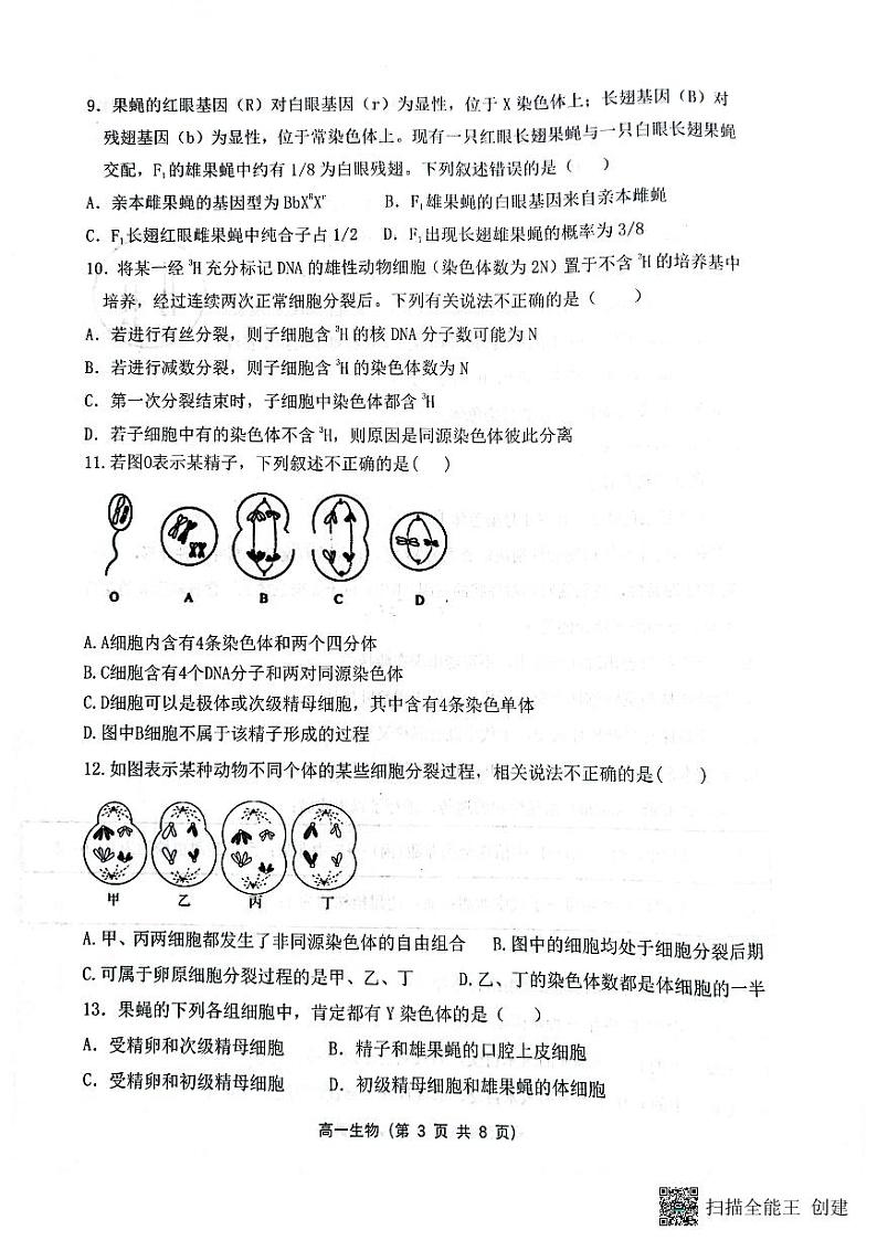 山西省大同市第一中学2023-2024学年高一下学期4月期中考试生物试题（PDF版附答案）03