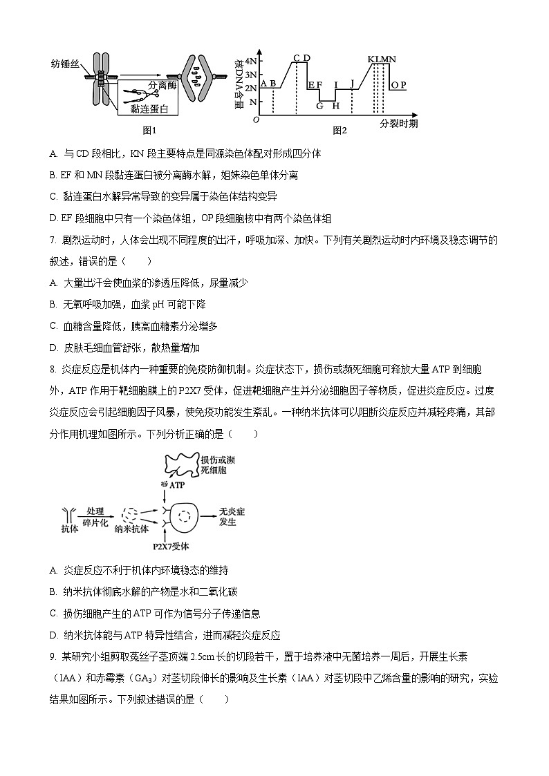 2024河北省部分高中高三下学期5月二模试题生物含解析03