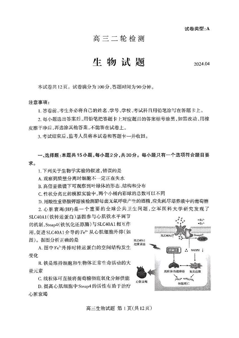 2024泰安高三下学期二模试题生物PDF版含答案第1页