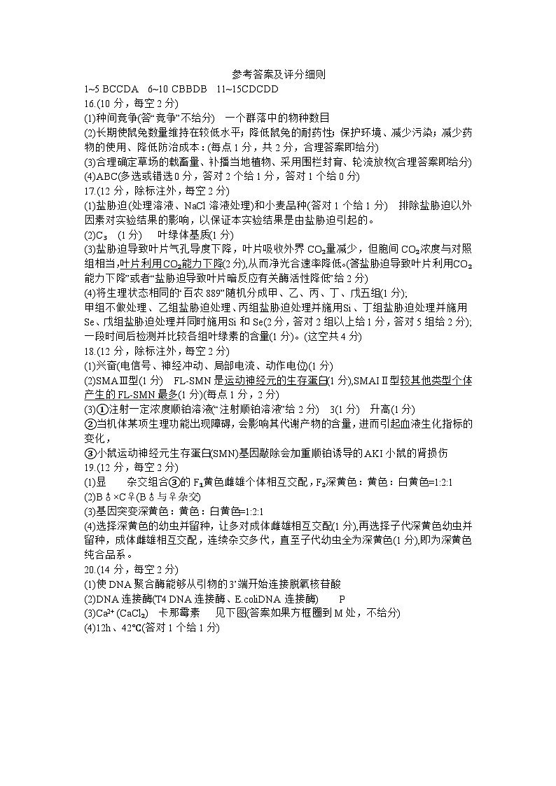 2024宁德普通高中毕业班高三下学期5月质量检测生物试题01