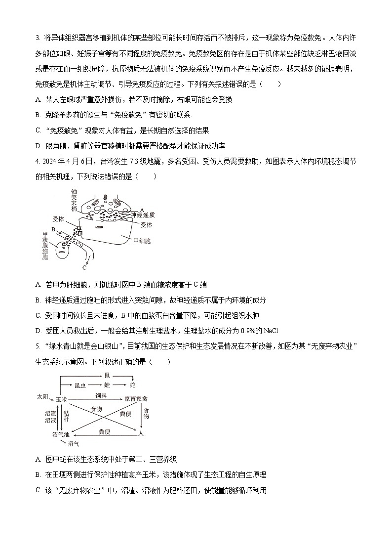 2024湖南省三湘名校教育联盟高二下学期4月期中联考生物试题含解析02