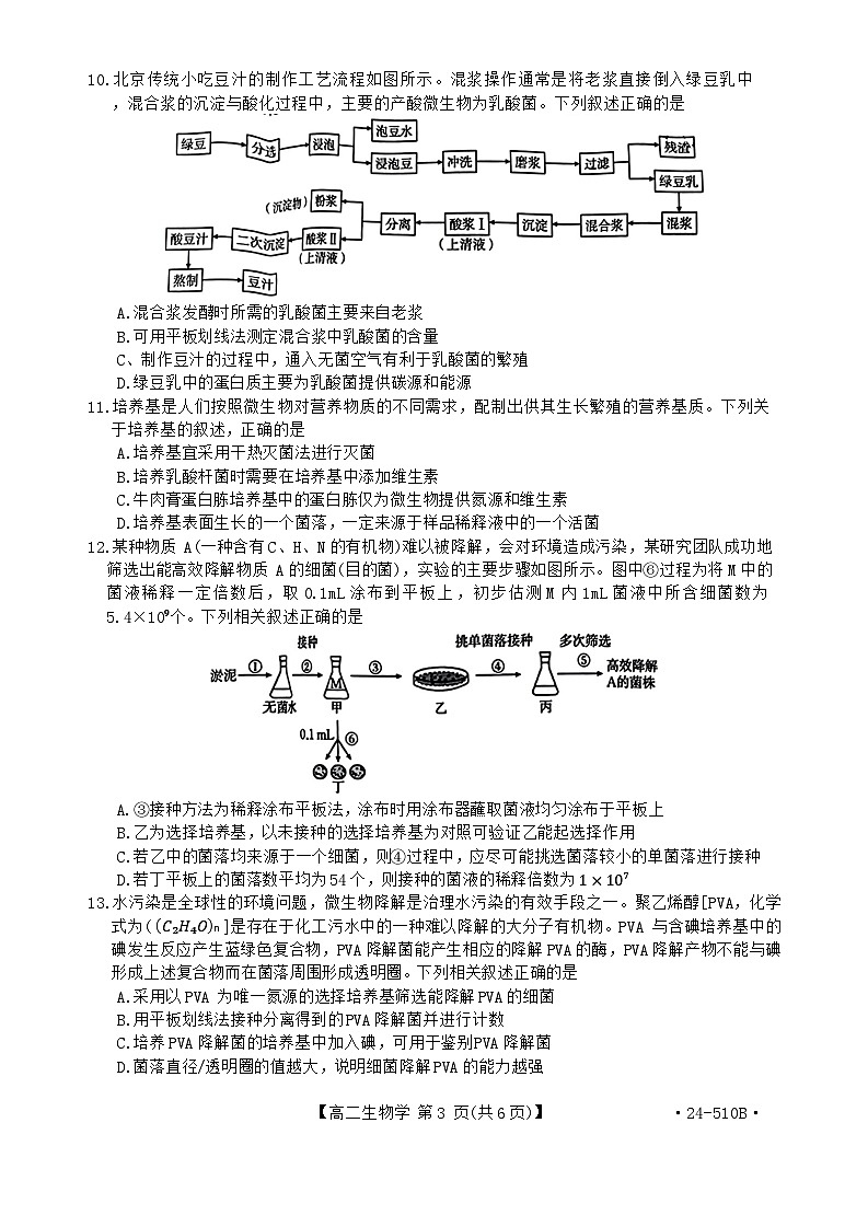 内蒙古自治区赤峰市松山区赤峰新城红旗中学2023-2024学年高二下学期5月期中生物试题03