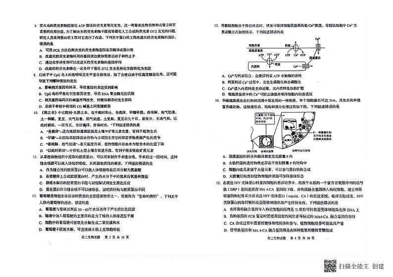 山东省莱西市2023—2024学年高二下学期学业水平阶段性检测（三）生物试题02