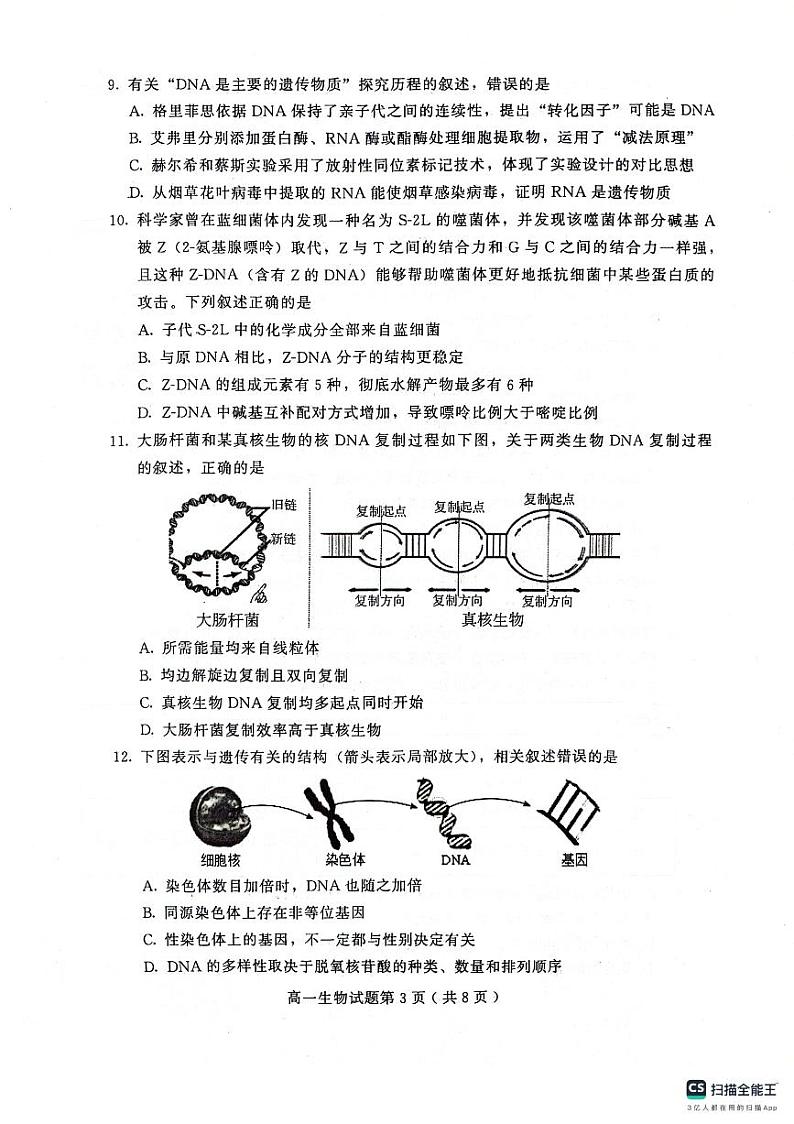 山东省潍坊市联考2023-2024学年高一下学期5月期中考试生物试题第3页