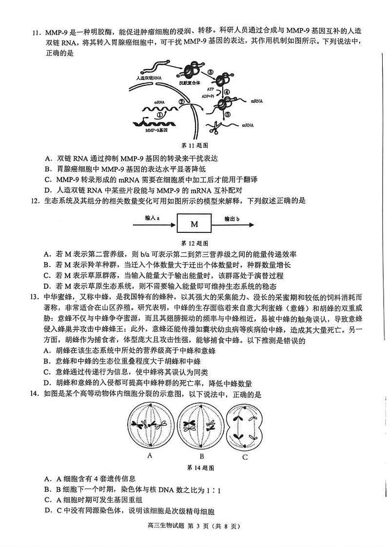 浙江省县域教研联盟2024年5月份高三模拟考试生物试题第3页