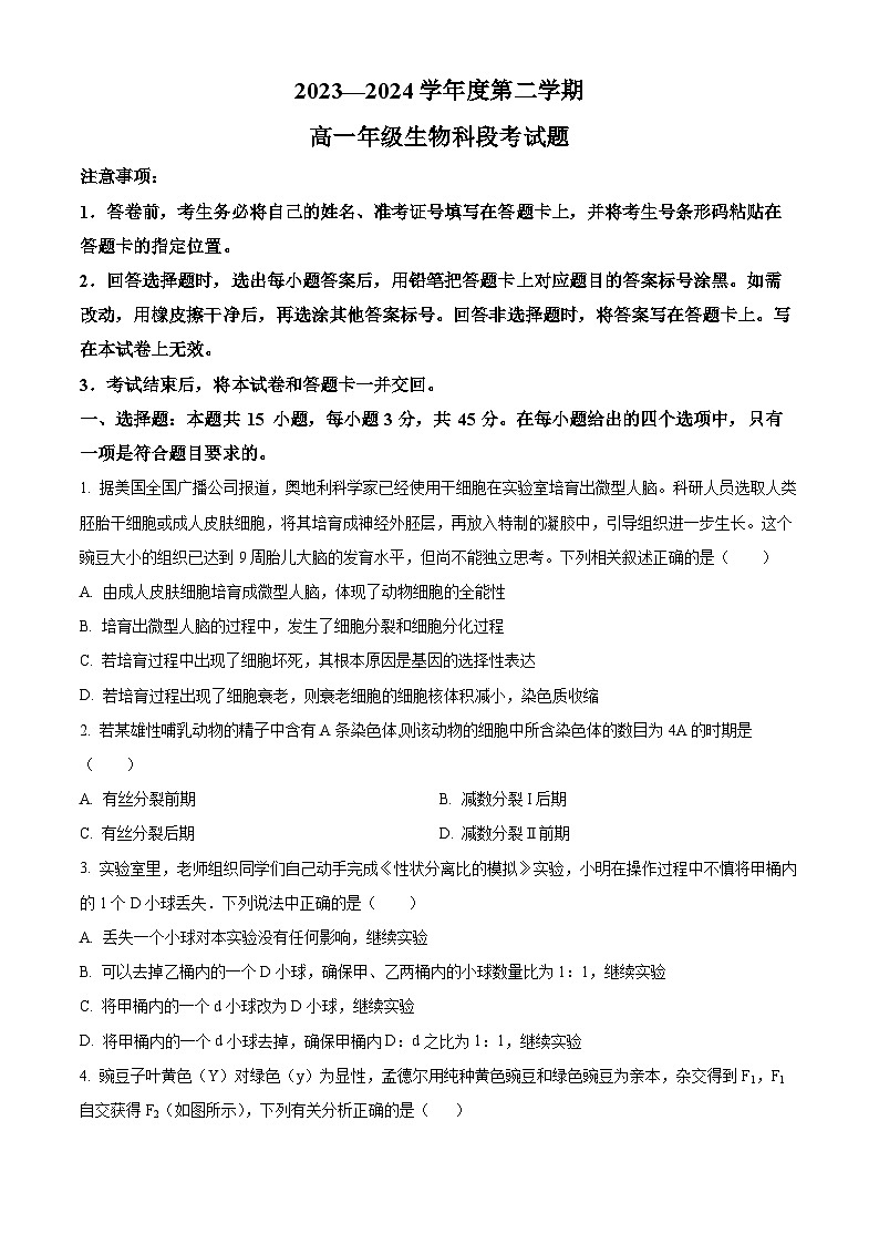 海南省文昌中学2023-2024学年高一下学期期中段考生物试题（原卷版+解析版）01