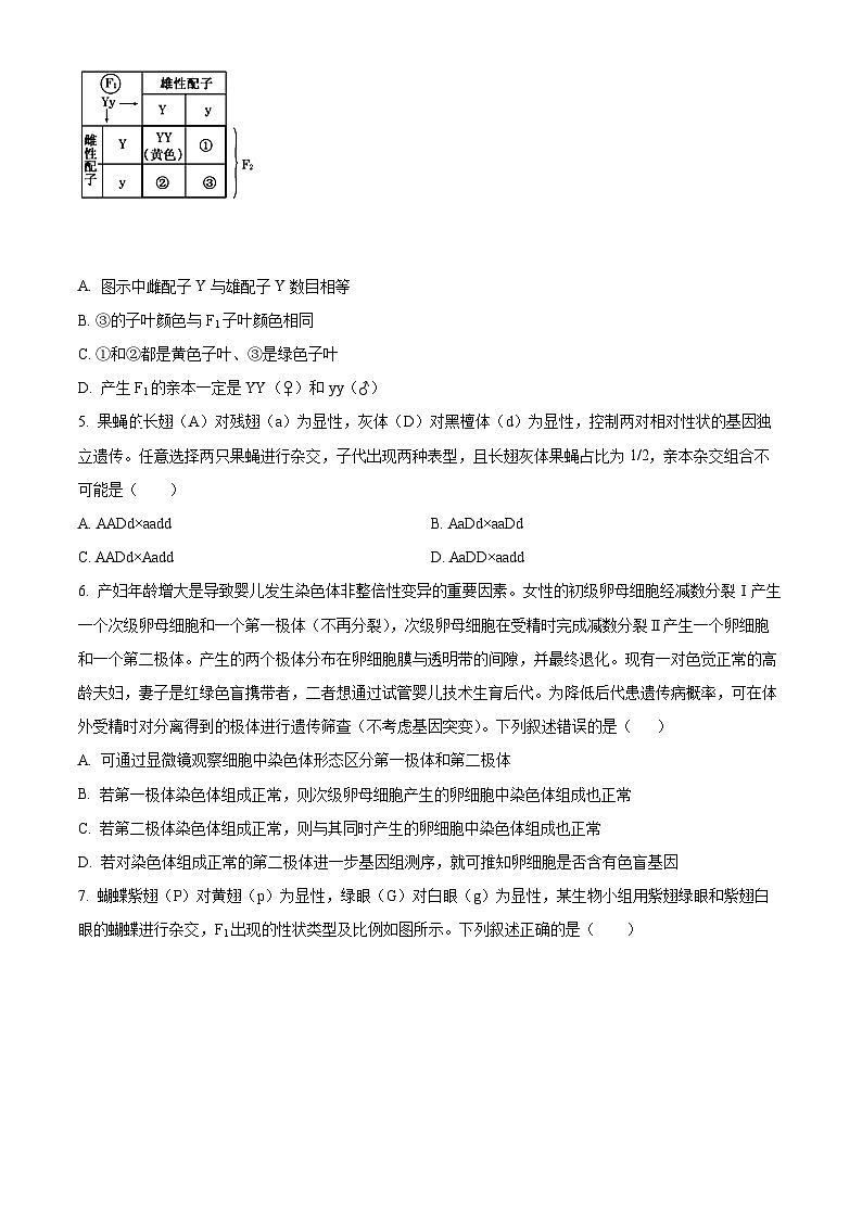海南省文昌中学2023-2024学年高一下学期期中段考生物试题（原卷版+解析版）02