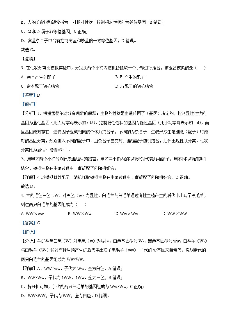 湖北省武汉市洪山区武汉西藏中学2023-2024学年高一下学期5月期中生物试题（原卷版+解析版）02