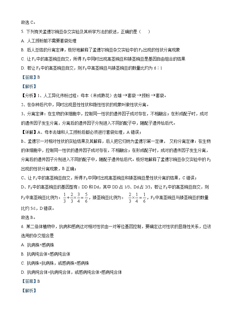 湖北省武汉市洪山区武汉西藏中学2023-2024学年高一下学期5月期中生物试题（原卷版+解析版）03
