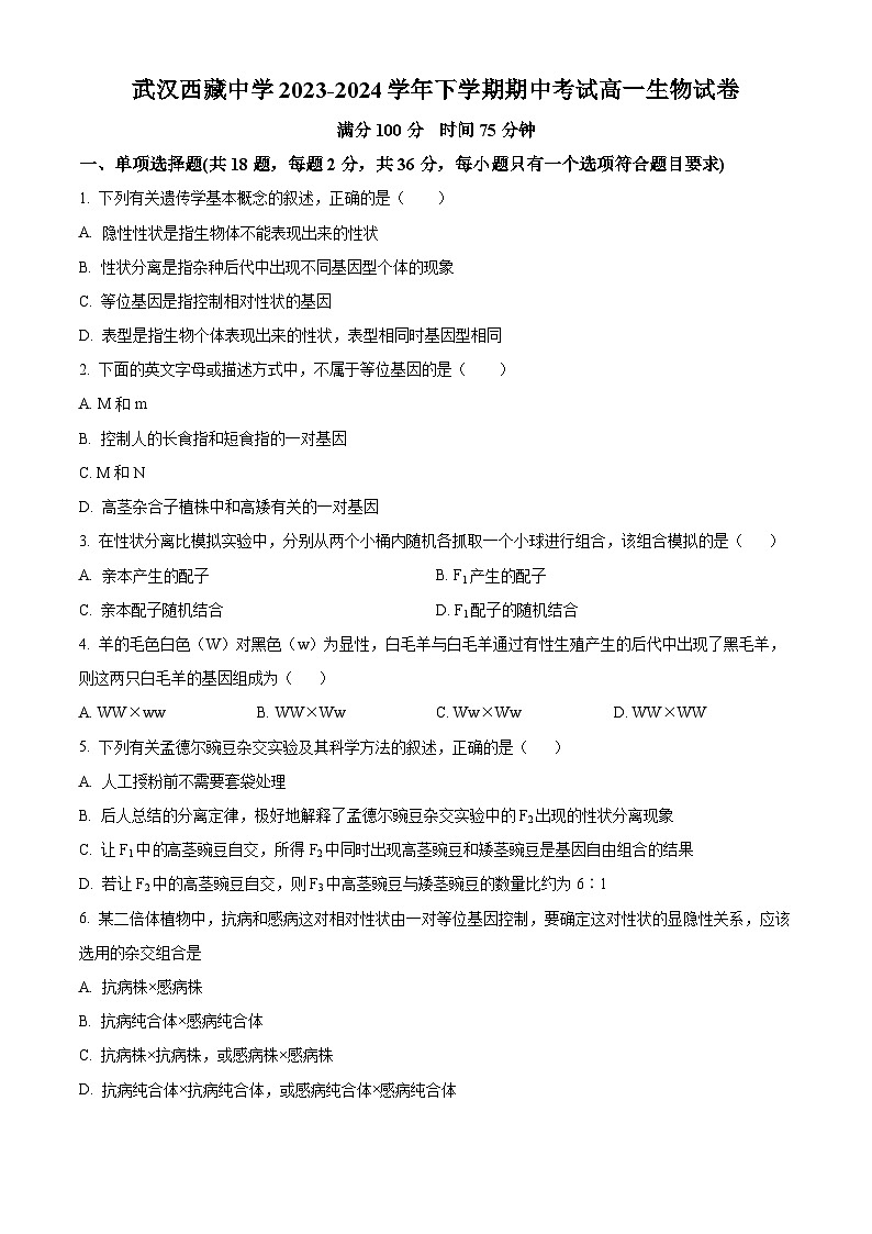 湖北省武汉市洪山区武汉西藏中学2023-2024学年高一下学期5月期中生物试题（原卷版+解析版）01