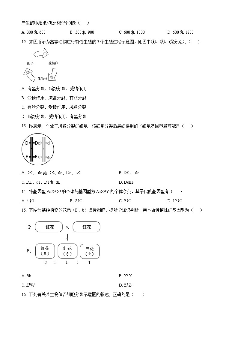 湖北省武汉市洪山区武汉西藏中学2023-2024学年高一下学期5月期中生物试题（原卷版+解析版）03