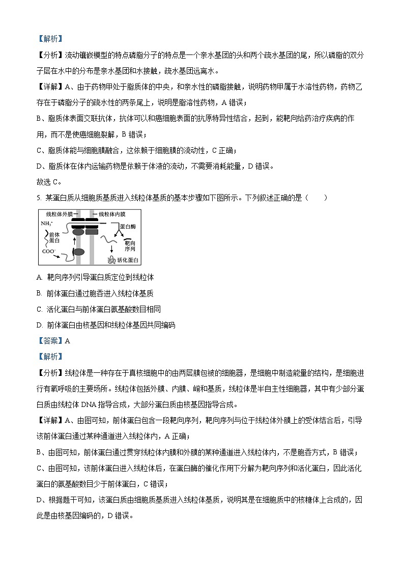 浙江省宁波市北仑中学2023-2024学年高二下学期期中考试生物试题（原卷版+解析版）03