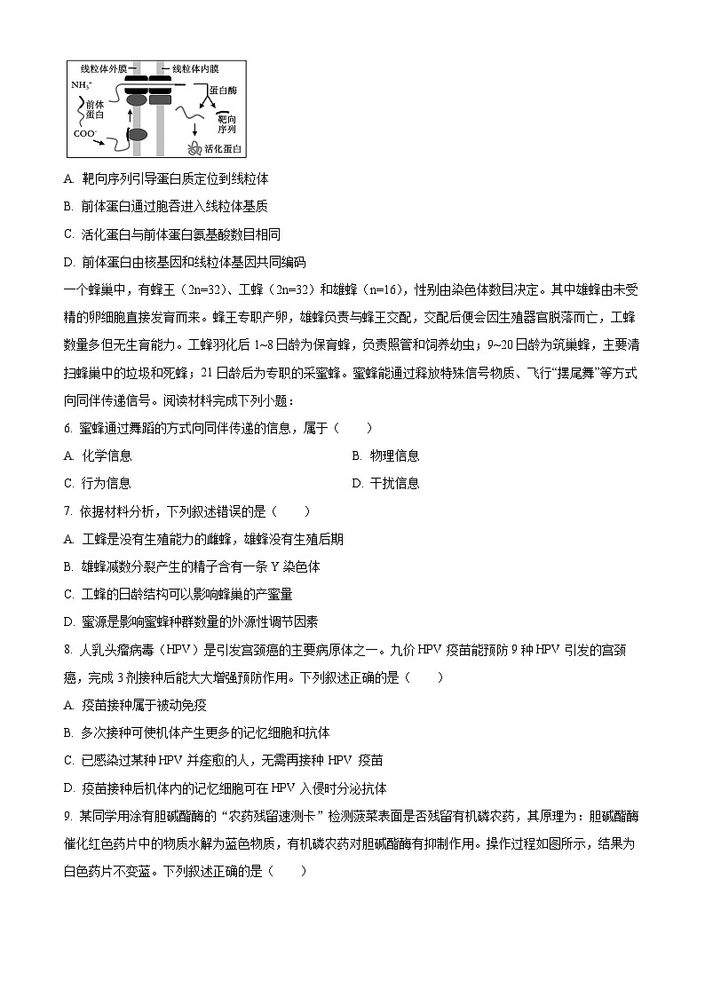 浙江省宁波市北仑中学2023-2024学年高二下学期期中考试生物试题（原卷版+解析版）02