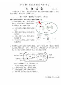 2024北京昌平高三二模生物试题及答案