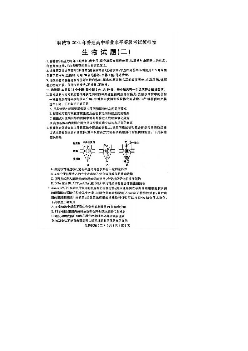 2024届山东聊城高三二模生物试题01