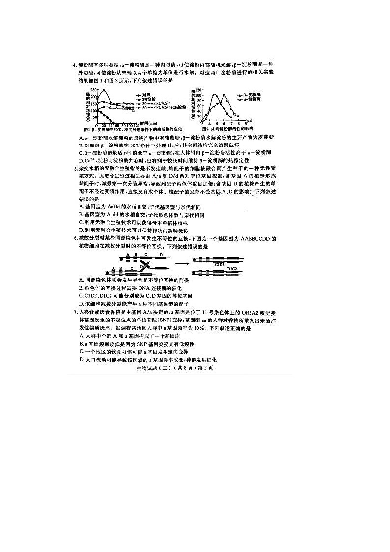 2024届山东聊城高三二模生物试题02