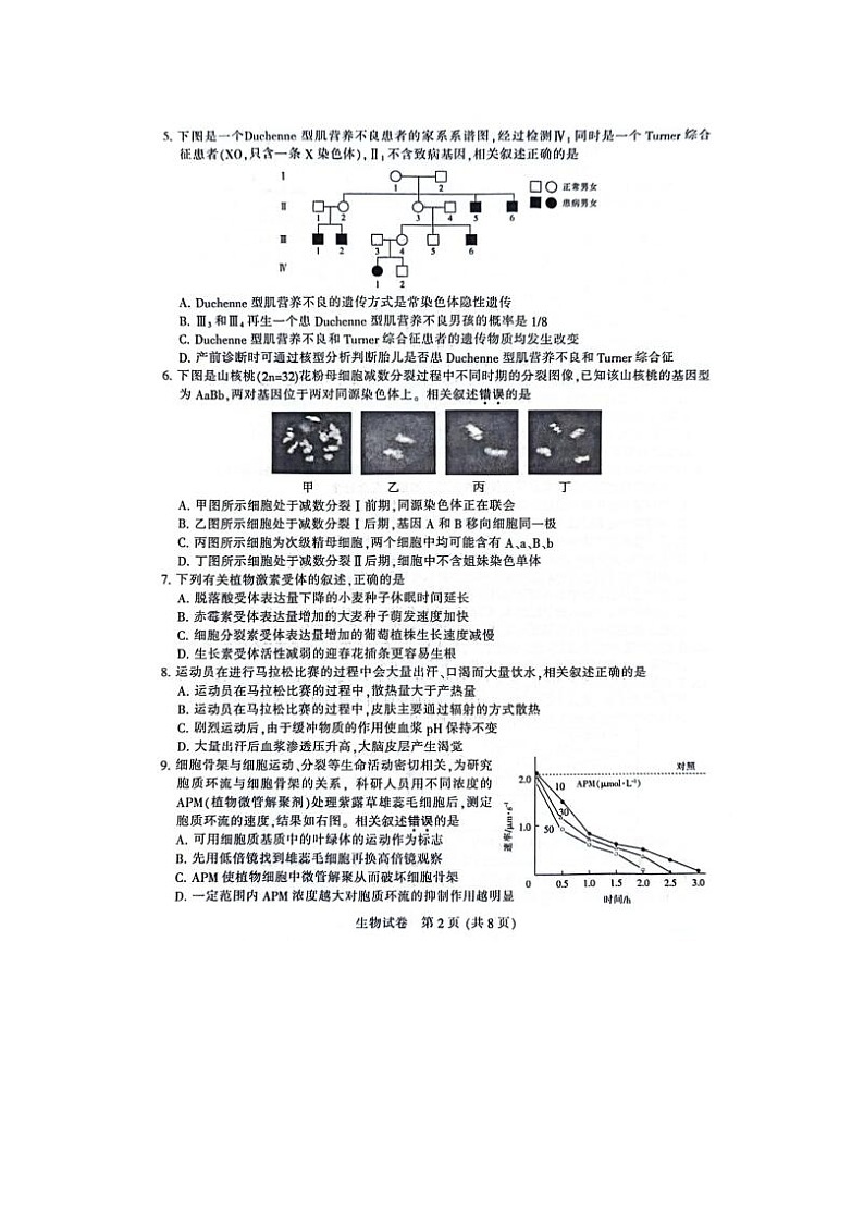 2024届江苏省南通苏北八市高三三模生物试题02