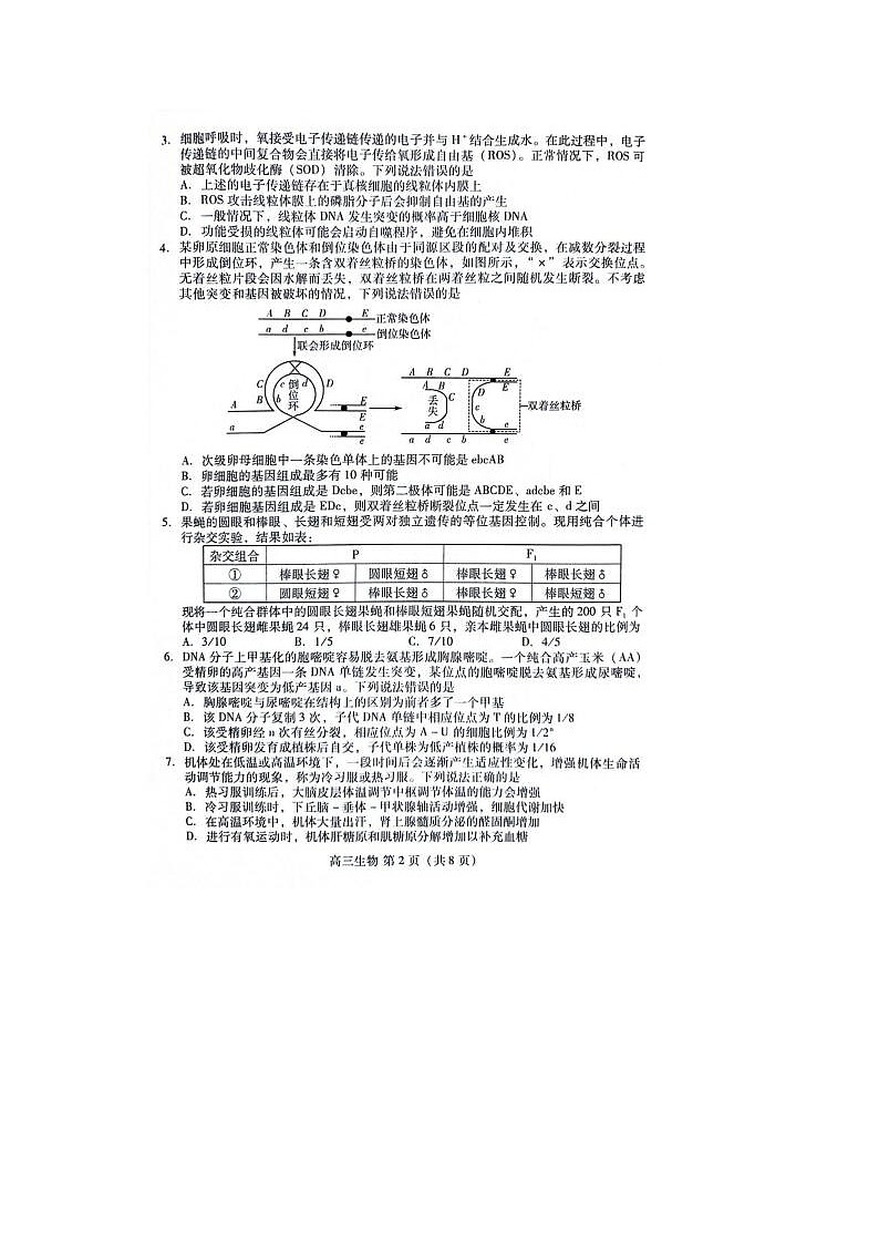 2024届山东潍坊市高三二模生物试题第2页