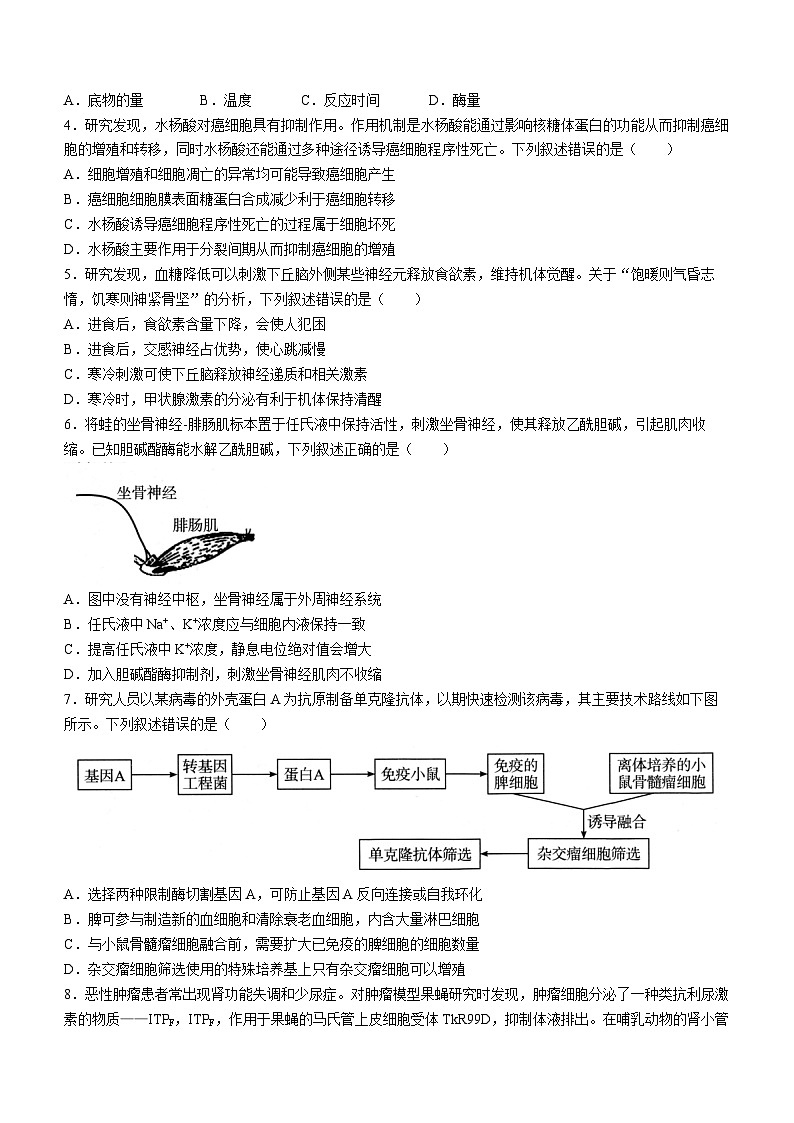 湖北省武汉市2024届高中毕业生四月调研考试生物试卷Word版含答案第2页