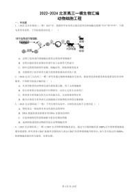 2022-2024北京高三一模试题生物分类汇编：动物细胞工程