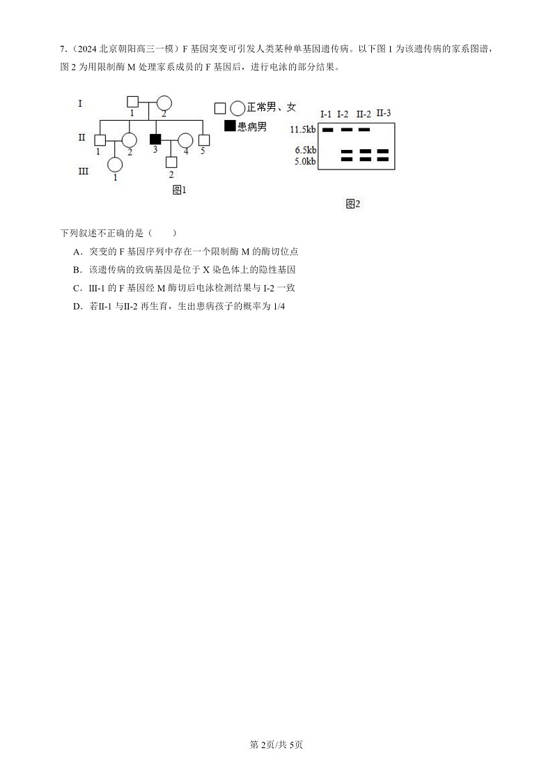 2022-2024北京高三一模试题生物分类汇编：重组DNA技术的基本工具02