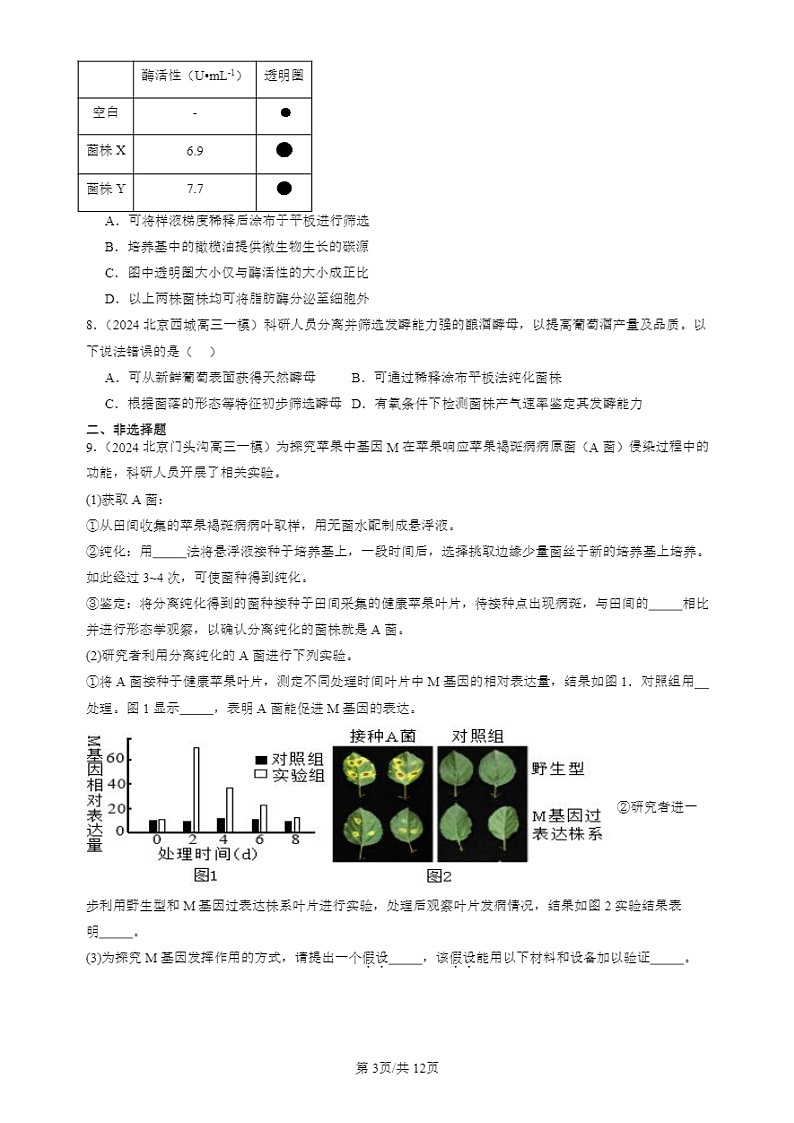 2024北京高三一模试题生物分类汇编：发酵工程章节综合第3页