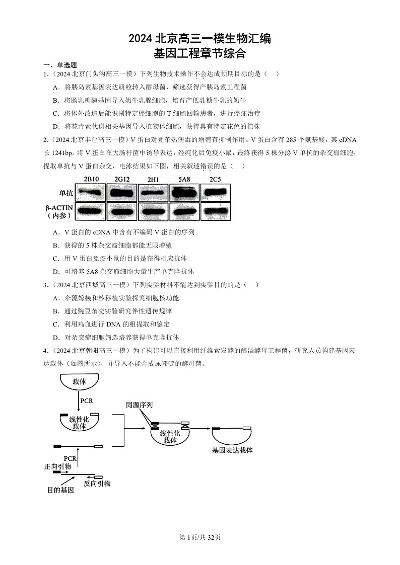 2024北京高三一模试题生物分类汇编：基因工程章节综合第1页