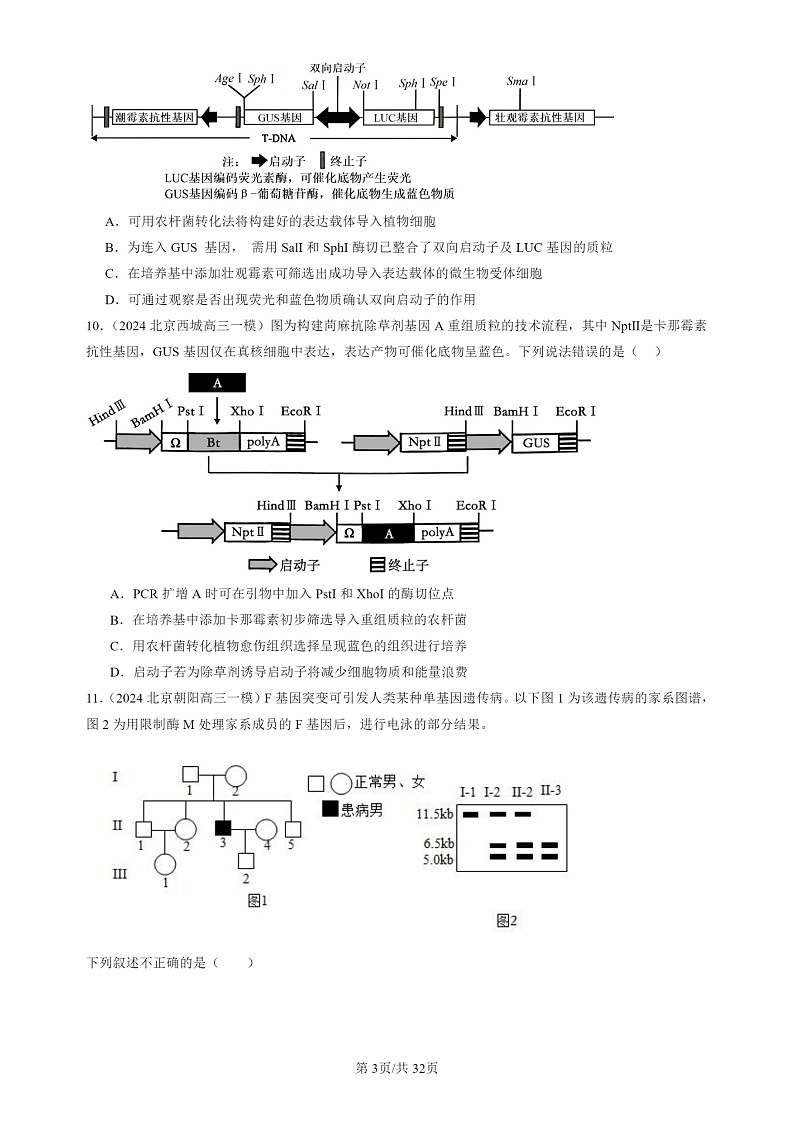 2024北京高三一模试题生物分类汇编：基因工程章节综合第3页