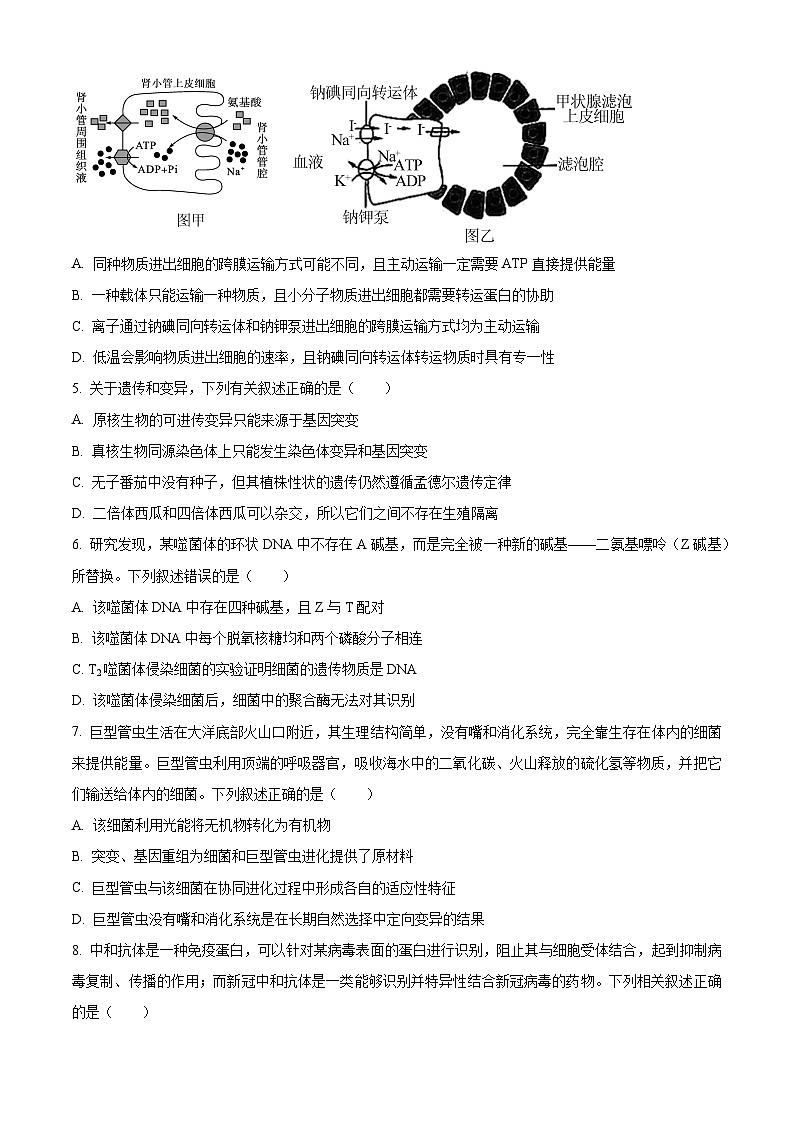 2024届黑龙江省部分学校高三下学期冲刺卷（四）生物试题（原卷版+解析版）02