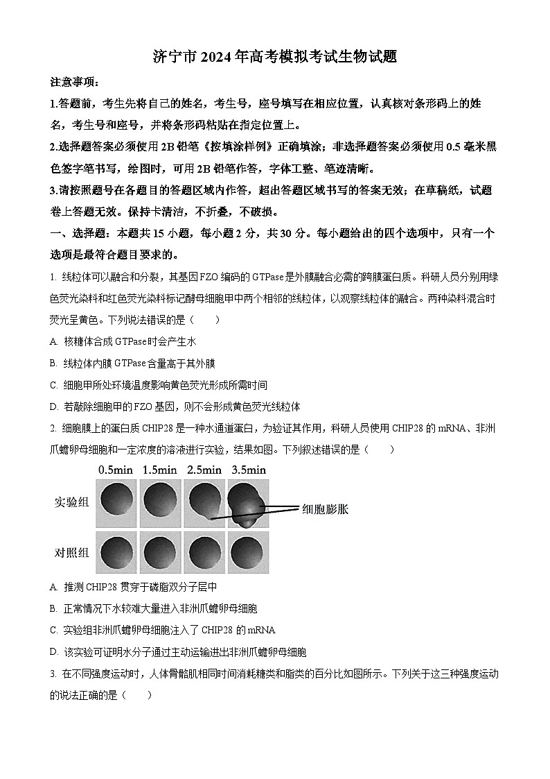 2024届山东省济宁市高考二模生物试题（原卷版+解析版）01