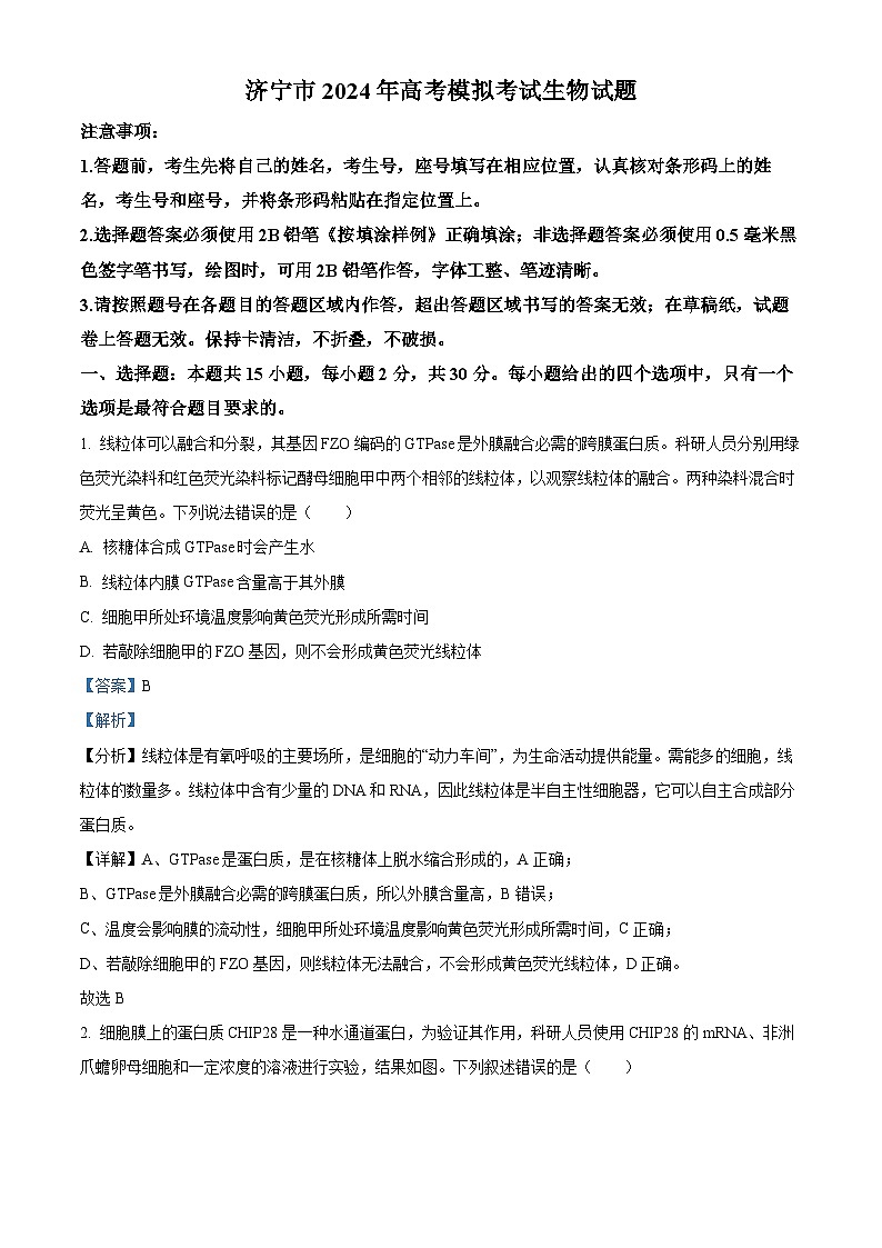 2024届山东省济宁市高考二模生物试题（原卷版+解析版）01