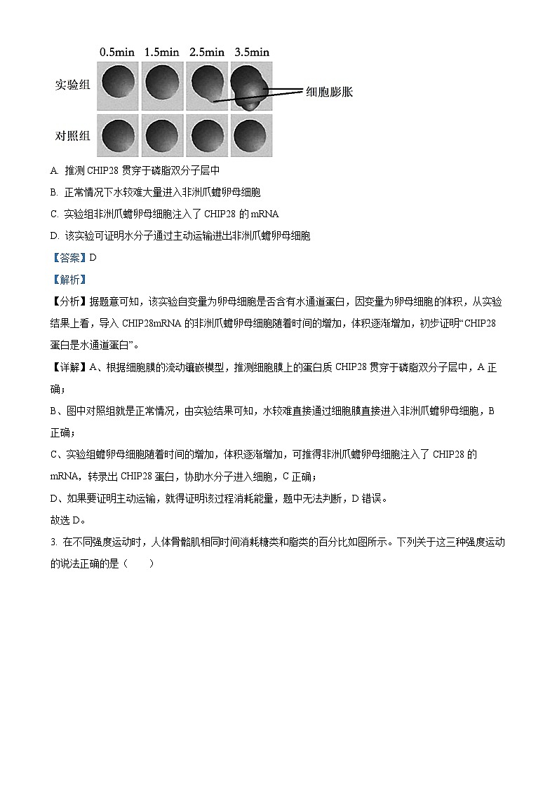 2024届山东省济宁市高考二模生物试题（原卷版+解析版）02
